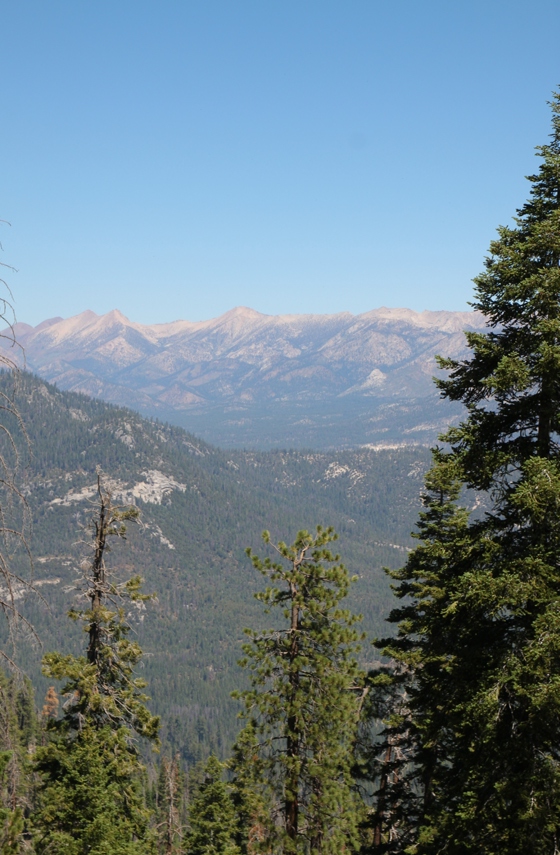 Sequoia National Forest
